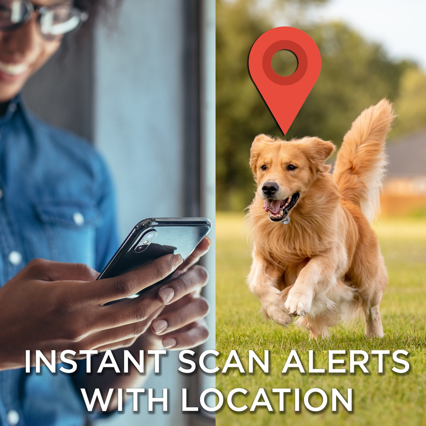 QR Pet Tag - Instant Scan Alerts with Location