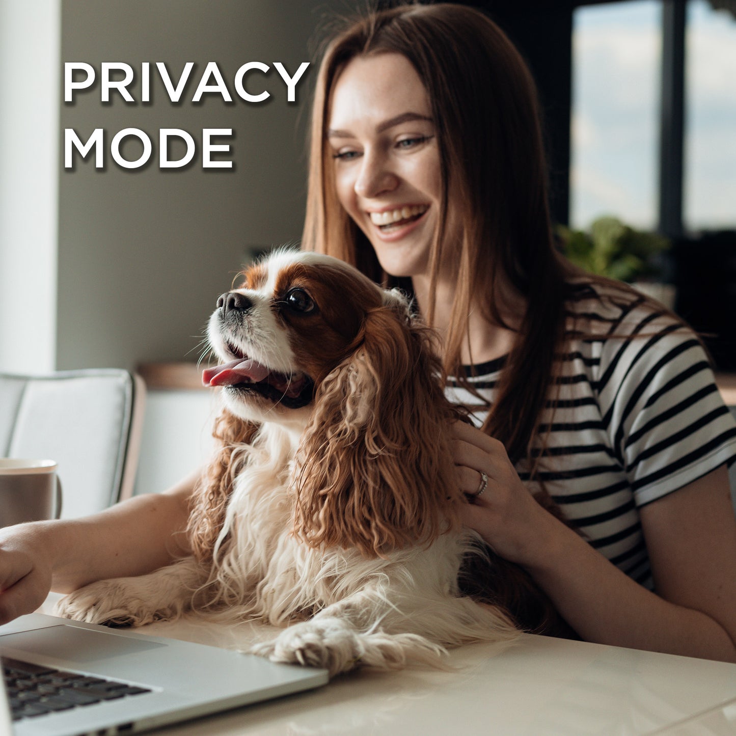 QR Pet Tag - Instant Scan Alerts with Location